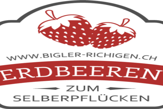 Logo Twint.png